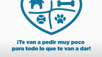 Campaña de Fomento de Adopciones | Diputación Provincial de Huelva